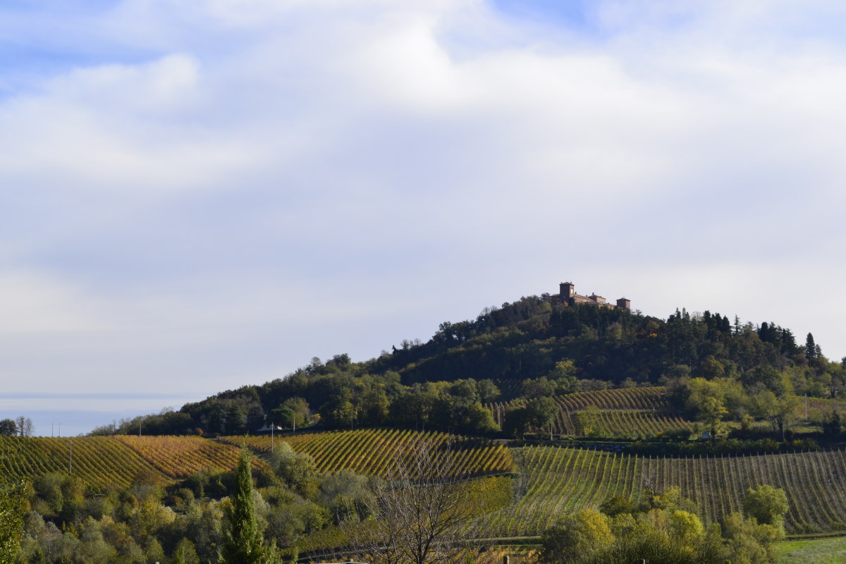 Azienda Agricola Doria